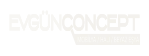 Evgün Concept