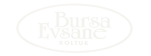 Bursa Evsane Koltuk